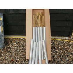 Small Image of 100 Clear Extra Wide Spiral Tree Guards with Canes - 60cm x 50mm