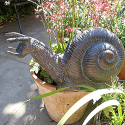 Extra image of Giant Garden Snail Ornament in Bronze Finish
