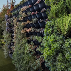 Small Image of Green4Air 12 Pod Greenwall Vertical Gardening Starter Pack