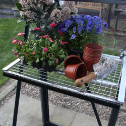 Small Image of Greenhouse Integral Mini Staging