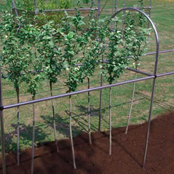 Small Image of 122cm Extension for the Crop Support Frame