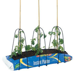 Small Image of Grow Bag Cane Frame - Pack of 3