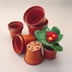 Small Image of Economy Pots 63mm Diameter - Pack of 50