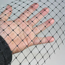 Small Image of Bird Netting 2 Metres Wide