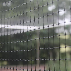 Small Image of Bird Netting 4 Metres Wide