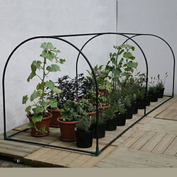 Small Image of Haxnicks Grower Frame