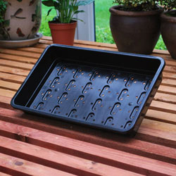 Small Image of Economy Seed Trays - Pack of 25