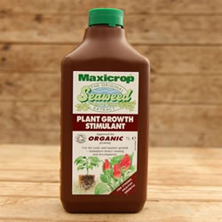 Small Image of Maxicrop Original Seaweed Extract - 1 Litre (POPGS61L)