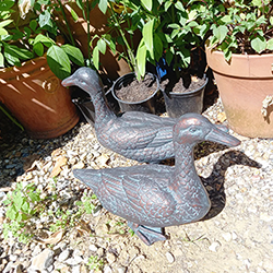Extra image of Pair of Duck Garden Ornaments in Cast Aluminium with Antique Bronze Finish