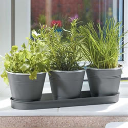 Small Image of Smart Garden Windowsill Herb Pots 3 Pack (6030302)