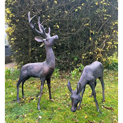 Small Image of Large Cast Stag and Doe Deer Garden Sculptures with Antique Bronze Finish