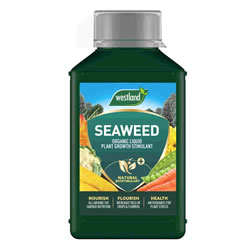 Small Image of Westland Seaweed Specialist Liquid Plant Feed - 1L (20100443)