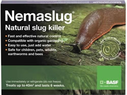 Image of Nemaslug Slug Killer 40sq metres