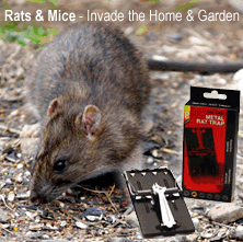 Pests and Pest Control