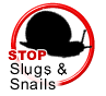 Slug and Snail Traps