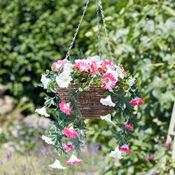 Small Image of Easy Basket - Summer Bloom - Hanging Basket