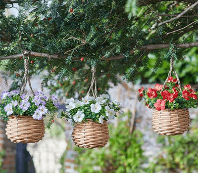 Image of Easy Basket - Blossom - Hanging Basket