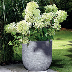 Image of Stewart Arava 44cm Garden Planter - Alpine Grey