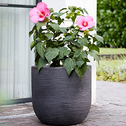 Image of Stewart Arava 56cm Garden Planter - Millstone Grey