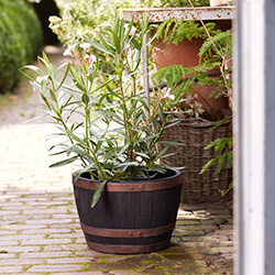 Image of Blenheim Black Oak & Copper Effect Half Barrel Planter - 61cm