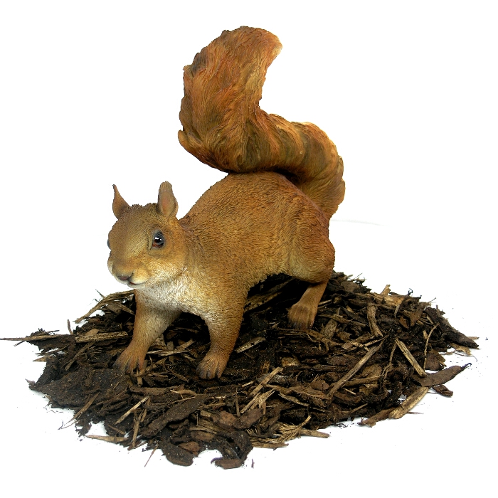 Red Squirrel Resin Garden Ornament, Garden Animal Ornaments Resin
