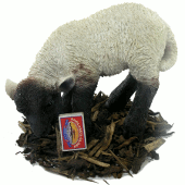 Extra image of Eating Black and White Lamb - Resin Garden Ornament