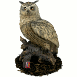 Extra image of Eagle Owl - Resin Garden Ornament